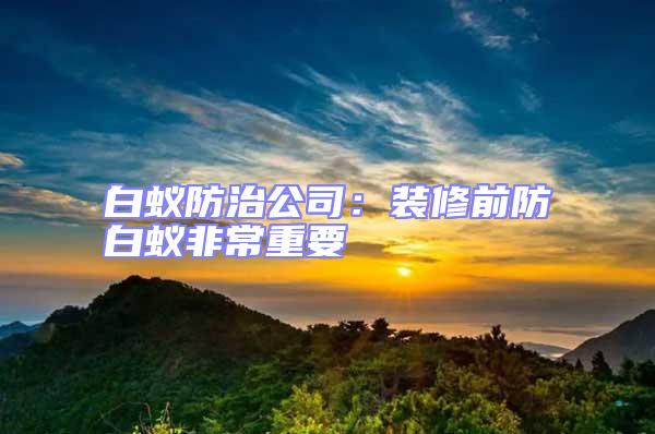 白蟻防治公司：裝修前防白蟻非常重要