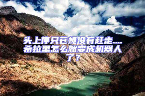 頭上停只蒼蠅沒有趕走....希拉里怎么就變成機器人了?