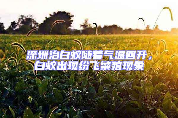 深圳治白蟻隨著氣溫回升,白蟻出現(xiàn)紛飛繁殖現(xiàn)象