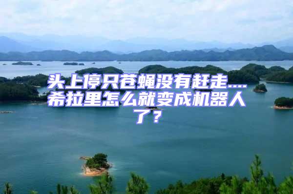 頭上停只蒼蠅沒有趕走....希拉里怎么就變成機器人了?