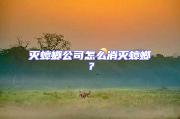 滅蟑螂公司怎么消滅蟑螂？