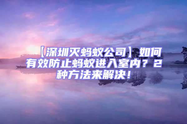【深圳滅螞蟻公司】如何有效防止螞蟻進入室內?2種方法來解決!