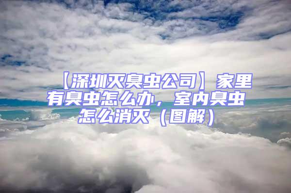 【深圳滅臭蟲公司】家里有臭蟲怎么辦,室內臭蟲怎么消滅(圖解)