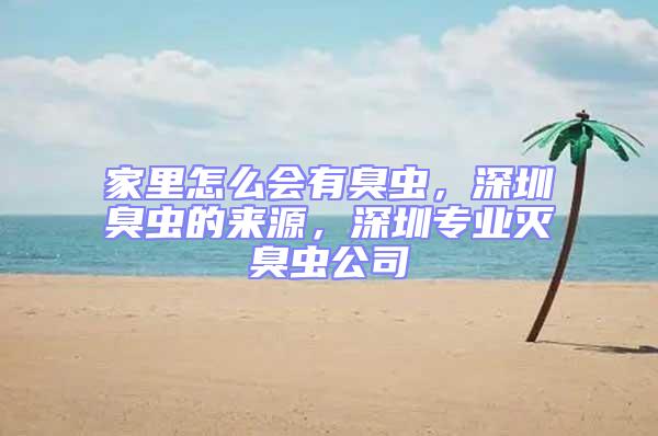 家里怎么會有臭蟲,深圳臭蟲的來源,深圳專業(yè)滅臭蟲公司