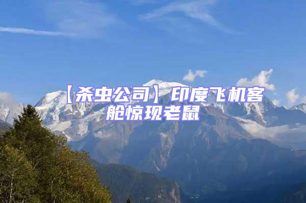 【殺蟲公司】印度飛機客艙驚現(xiàn)老鼠