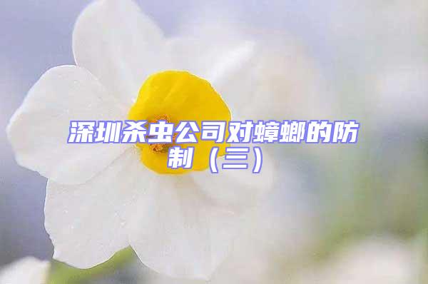 深圳殺蟲公司對(duì)蟑螂的防制(三)