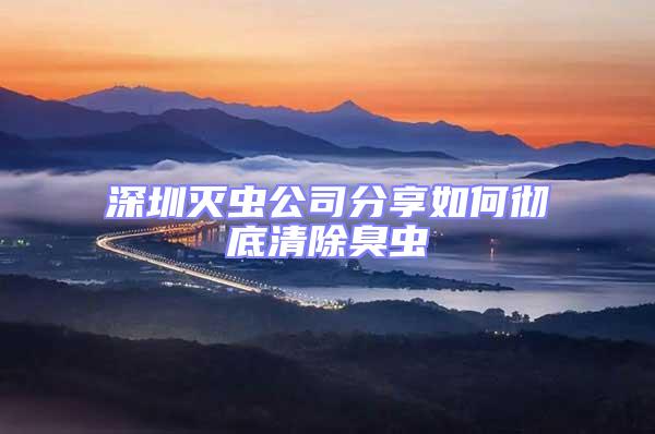 深圳滅蟲公司分享如何徹底清除臭蟲