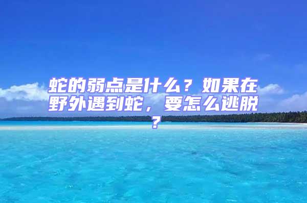 蛇的弱點(diǎn)是什么?如果在野外遇到蛇,要怎么逃脫?