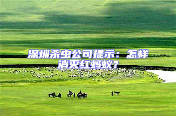 深圳殺蟲公司提示:怎樣消滅紅螞蟻?