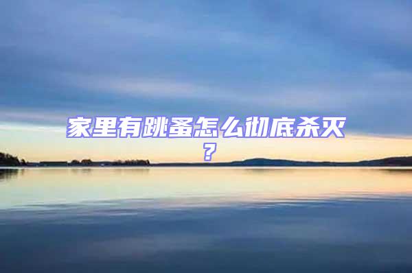家里有跳蚤怎么徹底殺滅？