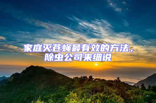 家庭滅蒼蠅最有效的方法,除蟲公司來細說