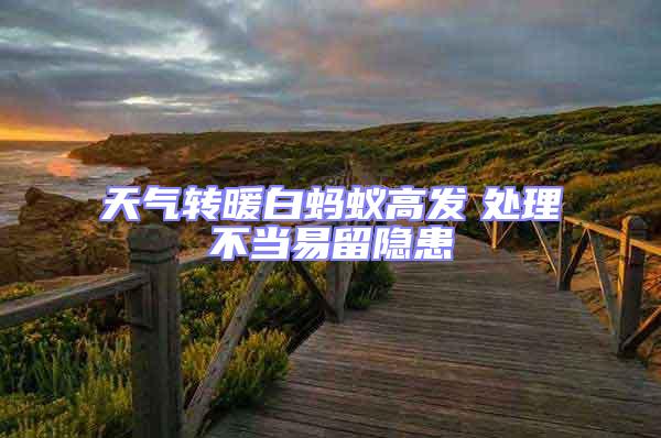 天氣轉(zhuǎn)暖白螞蟻高發(fā) 處理不當(dāng)易留隱患