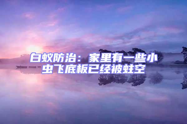 白蟻防治：家里有一些小蟲飛底板已經被蛀空