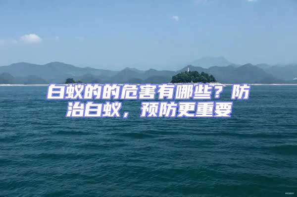 白蟻的的危害有哪些?防治白蟻,預防更重要