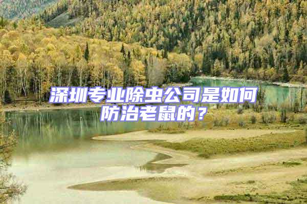 深圳專業除蟲公司是如何防治老鼠的？