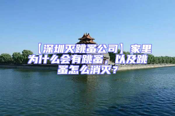 【深圳滅跳蚤公司】家里為什么會(huì)有跳蚤，以及跳蚤怎么消滅？
