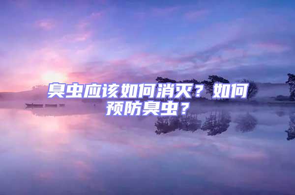 臭蟲應該如何消滅?如何預防臭蟲?