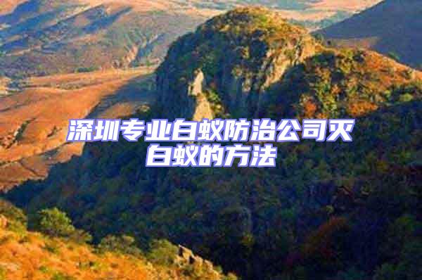 深圳專業白蟻防治公司滅白蟻的方法
