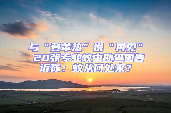 與“登革熱”說“再見” 20張專業蚊蟲勘查圖告訴你:蚊從何處來?