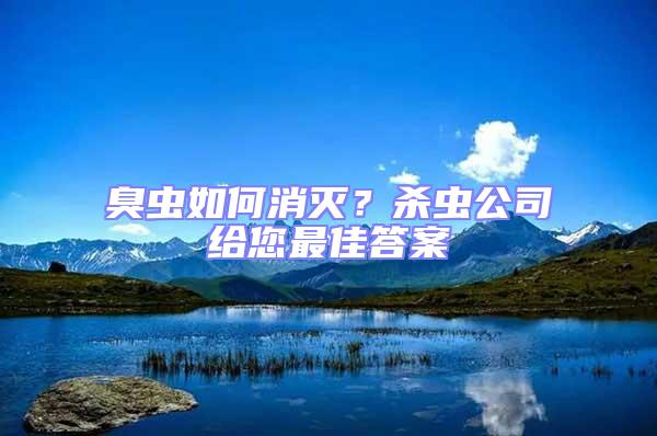 臭蟲如何消滅?殺蟲公司給您最佳答案