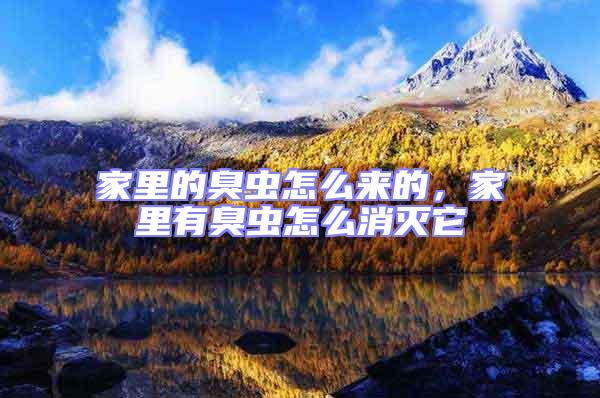 家里的臭蟲怎么來的，家里有臭蟲怎么消滅它