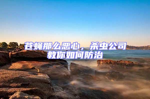 蒼蠅那么惡心,殺蟲公司教你如何防治