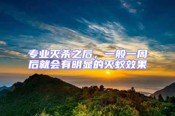 專業(yè)滅殺之后,一般一周后就會有明顯的滅蟻效果