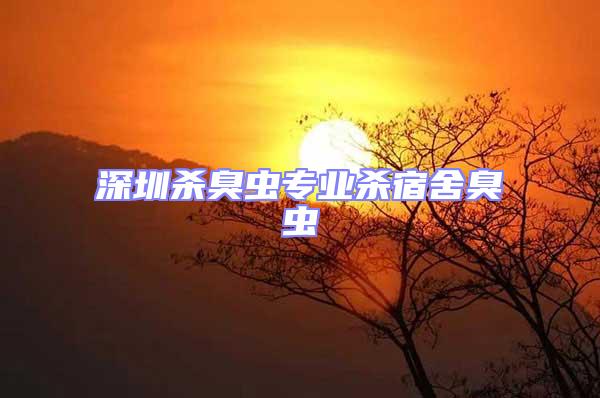 深圳殺臭蟲專業殺宿舍臭蟲