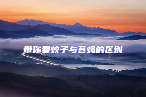 帶你看蚊子與蒼蠅的區別