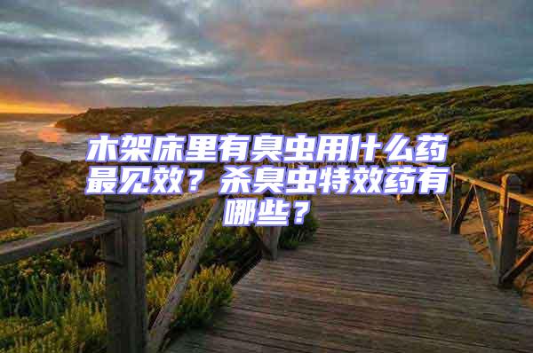 木架床里有臭蟲用什么藥最見效?殺臭蟲特效藥有哪些?