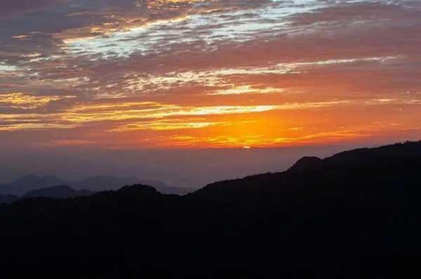 殺蟲公司的專業(yè)團(tuán)隊支持