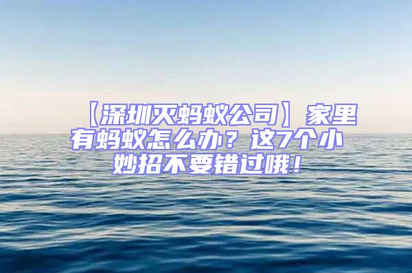 【深圳滅螞蟻公司】家里有螞蟻怎么辦?這7個小妙招不要錯過哦!