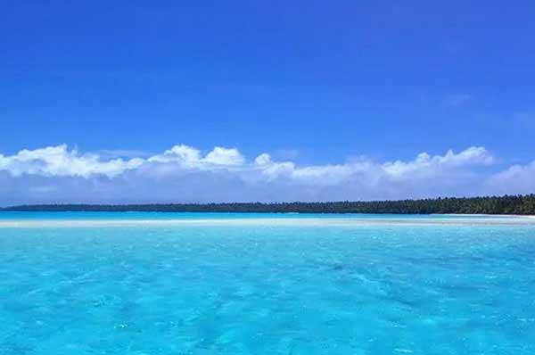 孕婦可以用電蚊香嗎