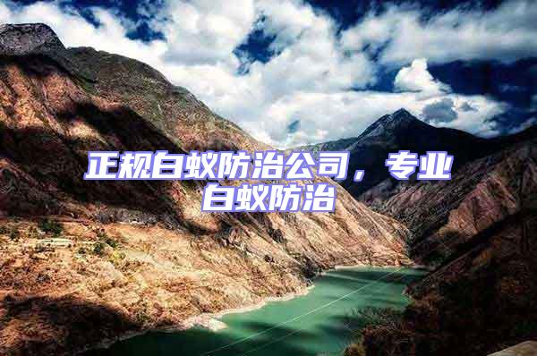 正規白蟻防治公司,專業白蟻防治