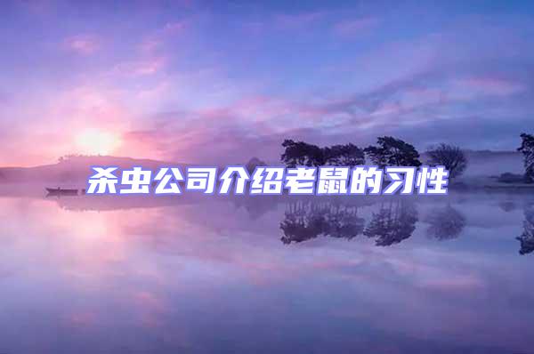 殺蟲公司介紹老鼠的習性