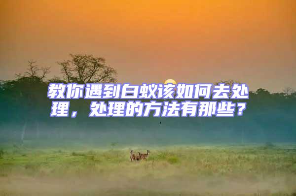 教你遇到白蟻該如何去處理，處理的方法有那些？