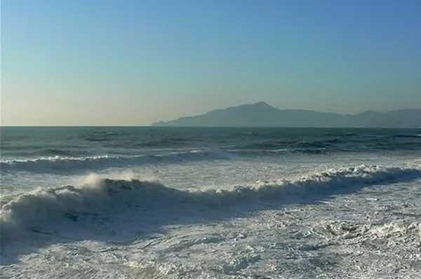 老鼠怕什么東西?怕什么味道和聲音?