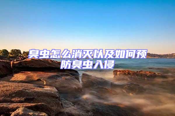 臭蟲怎么消滅以及如何預(yù)防臭蟲入侵