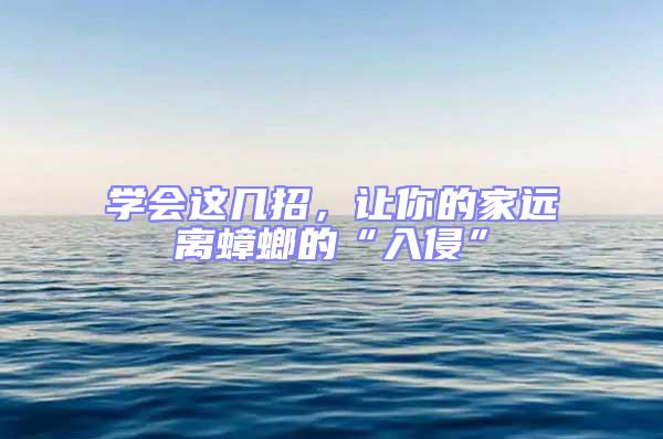 學會這幾招，讓你的家遠離蟑螂的“入侵”