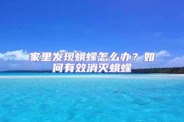 家里發(fā)現(xiàn)蛾蠓怎么辦?如何有效消滅蛾蠓