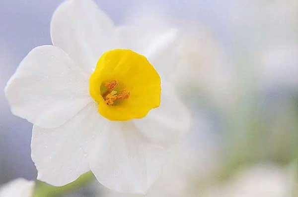 【除臭蟲(chóng)公司】為什么臭蟲(chóng)能耐得住“饑寒交迫”?