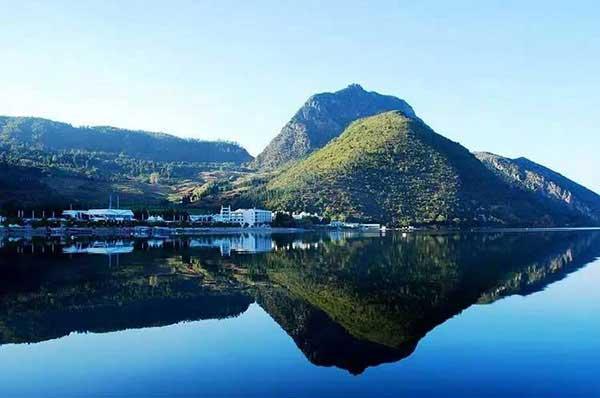 辦公室發現老鼠怎么辦?滅鼠公司出高招