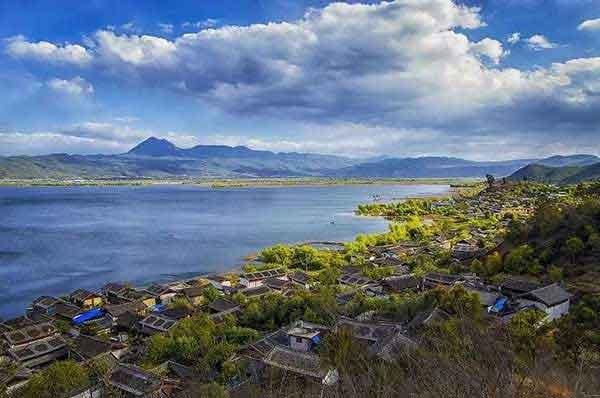 深圳滅螞蟻公司提示如何正確防治螞蟻?