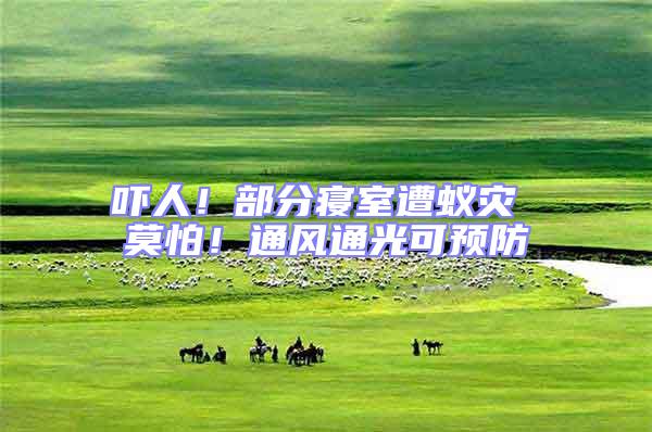 嚇人!部分寢室遭蟻災(zāi) 莫怕!通風(fēng)通光可預(yù)防