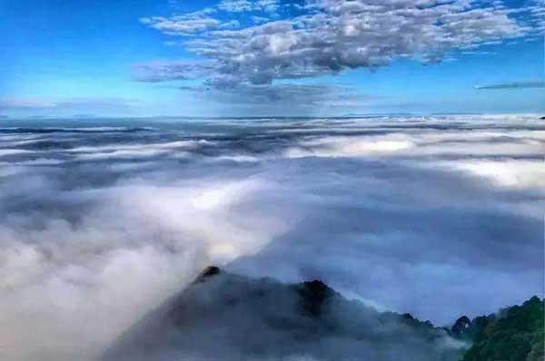 別拿蚊子不當回事兒，它們的危害可不止讓你癢得難受！