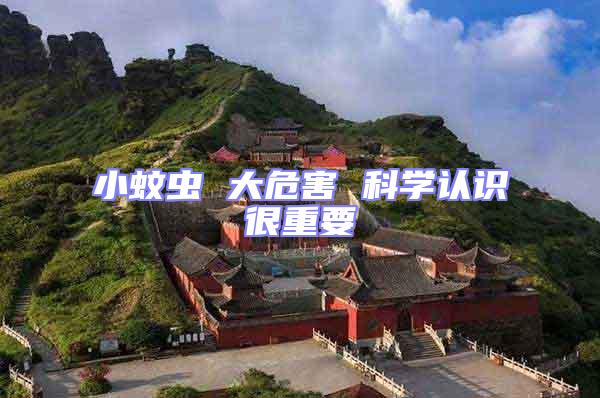 小蚊蟲 大危害 科學(xué)認(rèn)識很重要