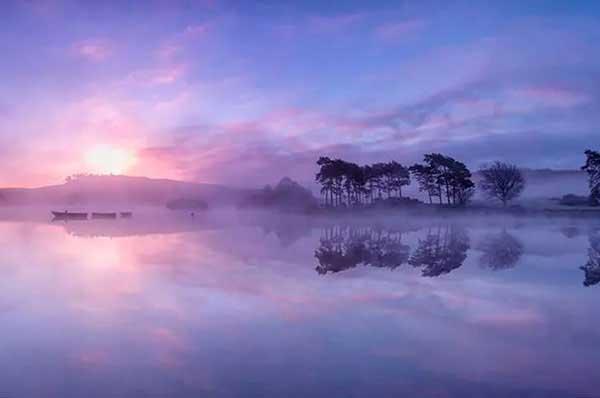 殺蟲公司專業(yè)團隊才有好的效果