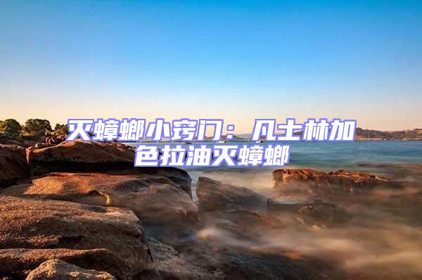 滅蟑螂小竅門:凡士林加色拉油滅蟑螂