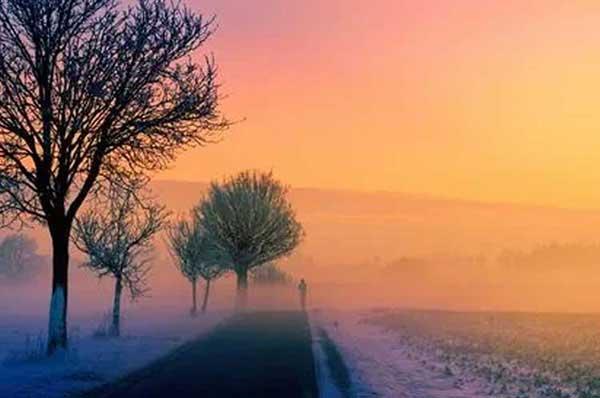 深圳白蟻防治:白蟻比較喜歡食松木、夾板等較為松軟材質的家具