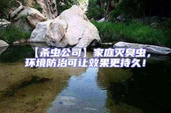 【殺蟲公司】家庭滅臭蟲,環境防治可讓效果更持久!